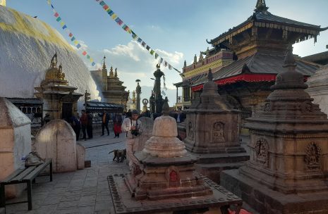 Nepal Culture and Safari Tour – 5 days