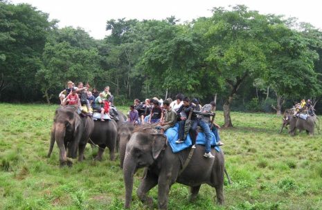 Wildlife Safari in Chitwan – 2 days