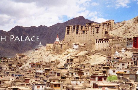 Ladakh Cultural Tour – 14 days