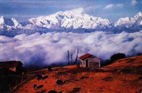 Darjeeling Trek – 10 days