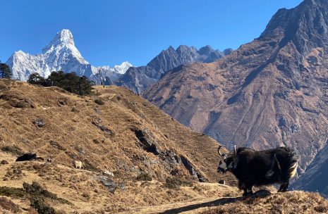 Everest View Trek in Nepal