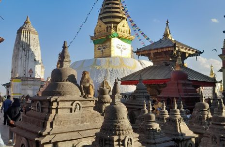 Kathmandu & Pokhara Tour 5 Days